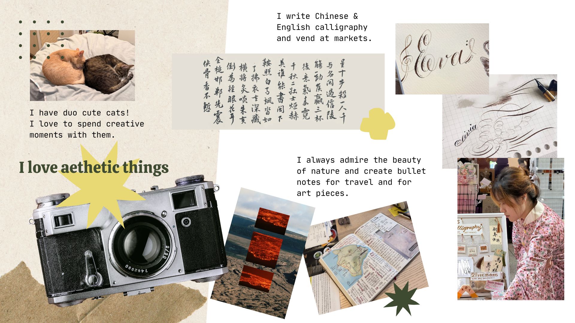 A personal collage of Olivia's two cats, Chinese and English calligraphy, market booth, camera, nature photography, and travel journals