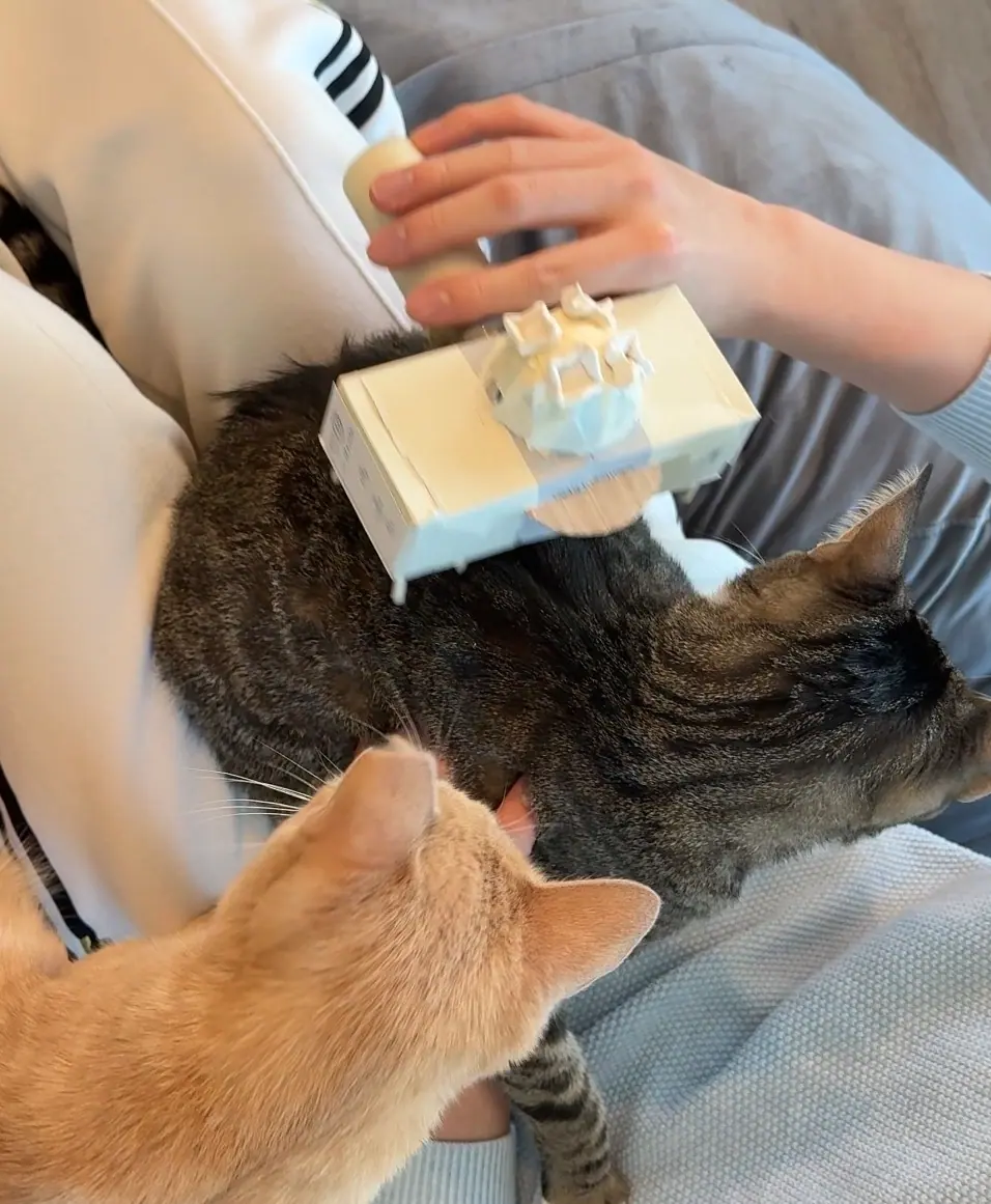 Pet care appliance prototype